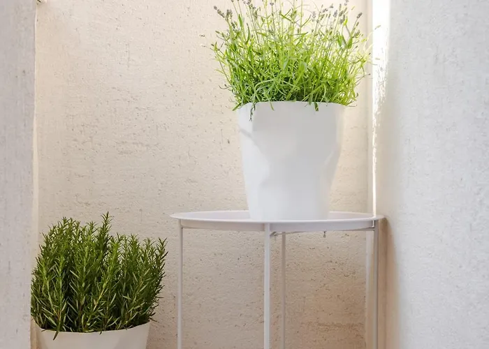 Little Perfection - Super King Size Bed - Wifi 200 Mbp شقة